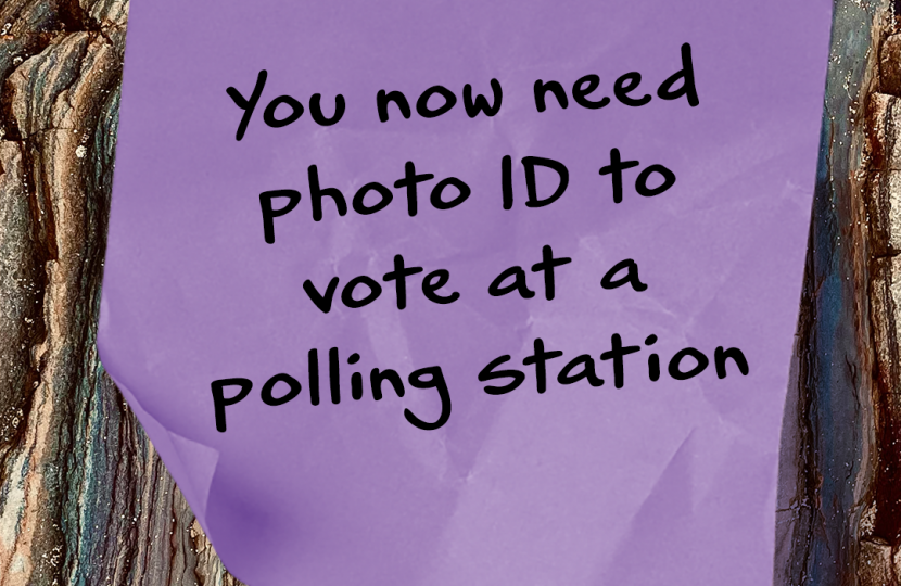 To vote in elections in England this May, you will need to show photo ID